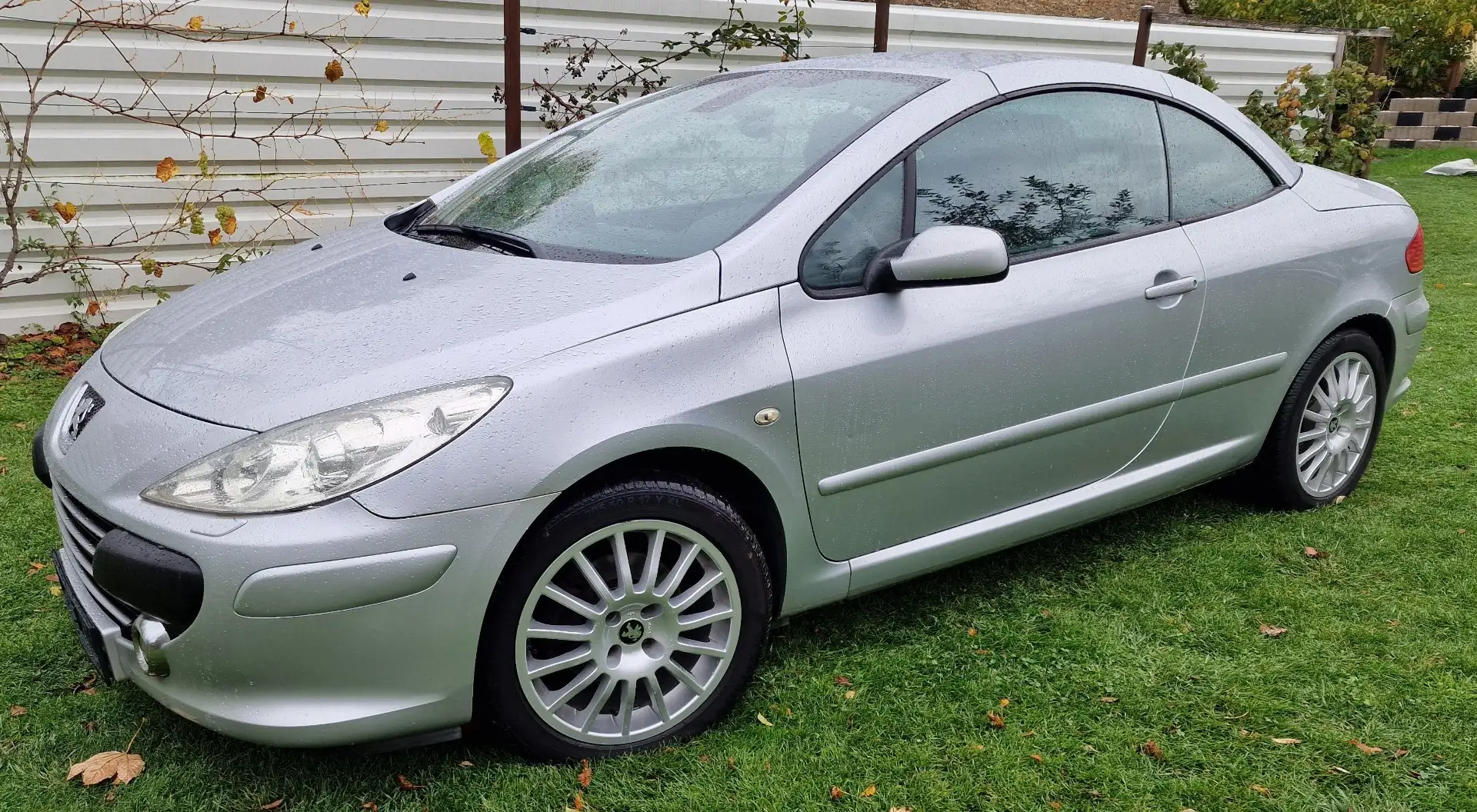 Peugeot 307 CC 140 JBL Insp., Batterie, TÜV - NEU Silber - 1