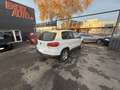 Volkswagen Tiguan 2.0 TDI 110 BlueMotion Spéciale Edition - thumbnail 10