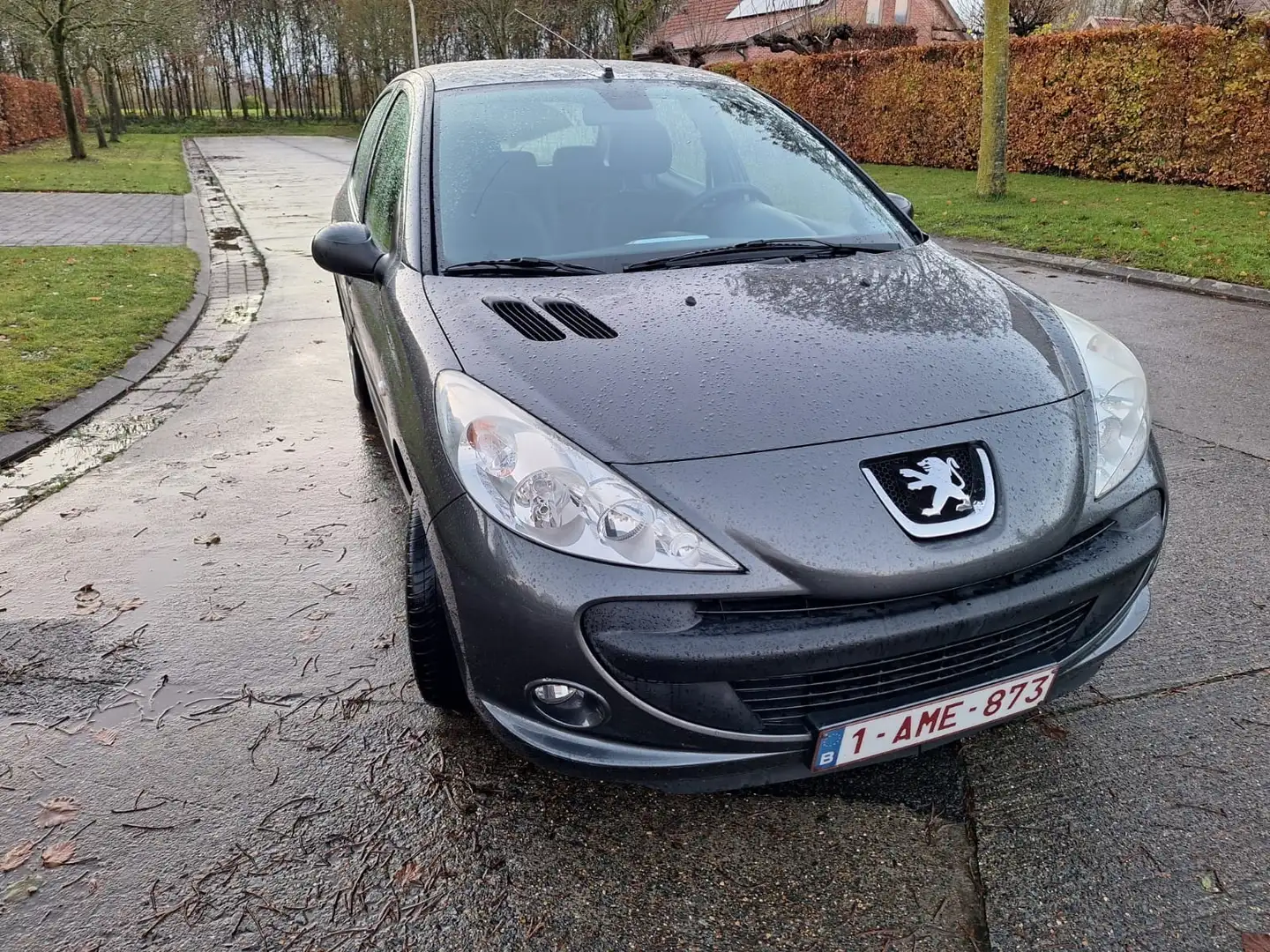 Peugeot 206 206+ 60 - 1