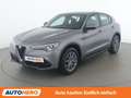 Alfa Romeo Stelvio 2.0 Turbo Super Q4 Grau - thumbnail 1