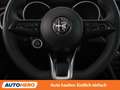 Alfa Romeo Stelvio 2.0 Turbo Super Q4 Grau - thumbnail 19