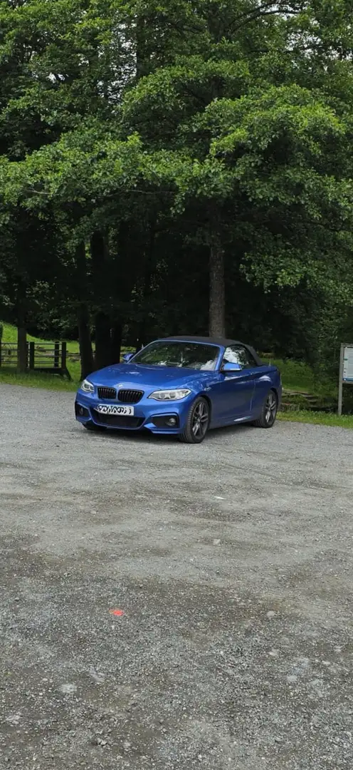 BMW 220 220d CabrioM Sport Blau - 1