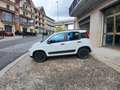 Fiat Panda 1.3 MJT 95 CV S&S 4x4 Wit - thumbnail 3