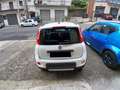 Fiat Panda 1.3 MJT 95 CV S&S 4x4 Wit - thumbnail 5