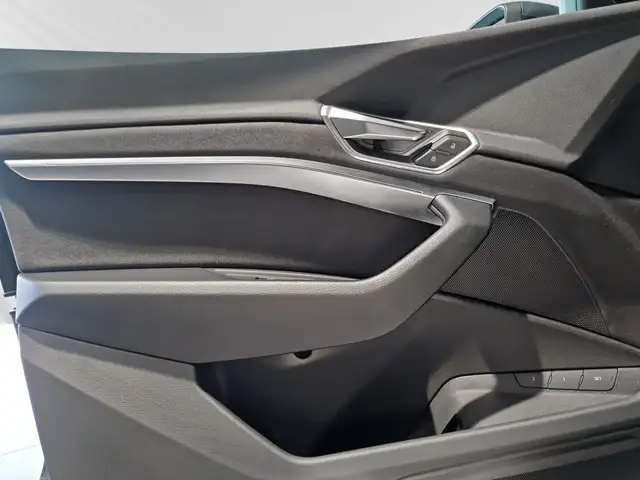 Audi Q8 E-Tron view 13