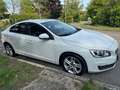 Volvo S60 S60 D4 Geartronic Kinetic Weiß - thumbnail 6