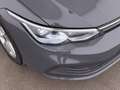 Volkswagen Golf Variant Golf VIII Variant 2.0 TDI Life MATRIX SKY RADAR Grau - thumbnail 12