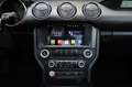 Ford Mustang 3.7 V6/KAMERA/BTH/MFL/TEMP/KLIMA/SHZ/R17 Grau - thumbnail 14