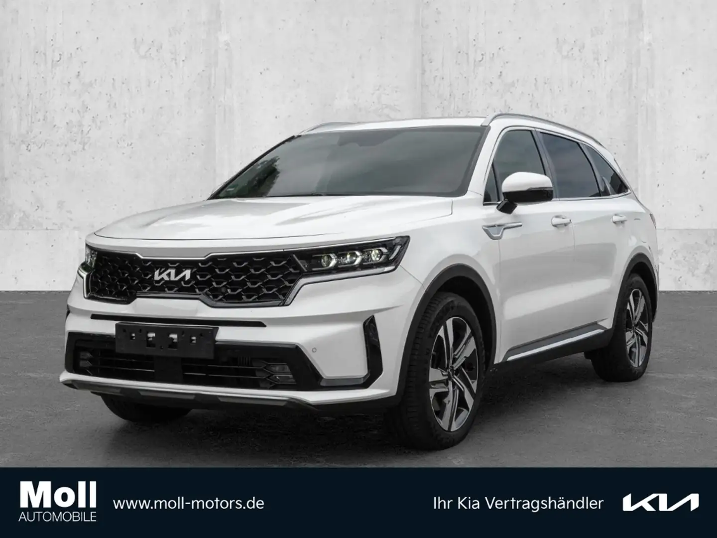 Kia Sorento Spirit 4WD 2.2 CRDi EU6d Navi Leder Digitales Cock Білий - 1