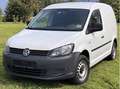 Volkswagen Caddy Caddy Kombi Cross 2,0 TDI DPF 4MOTION Cross Weiß - thumbnail 7
