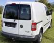 Volkswagen Caddy Caddy Kombi Cross 2,0 TDI DPF 4MOTION Cross Weiß - thumbnail 6