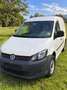 Volkswagen Caddy Caddy Kombi Cross 2,0 TDI DPF 4MOTION Cross Weiß - thumbnail 1