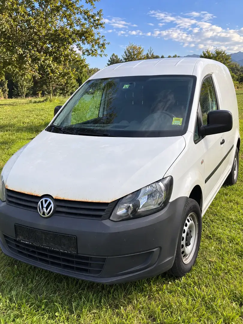 Volkswagen Caddy Caddy Kombi Cross 2,0 TDI DPF 4MOTION Cross Weiß - 1