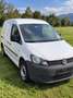 Volkswagen Caddy Caddy Kombi Cross 2,0 TDI DPF 4MOTION Cross Weiß - thumbnail 3