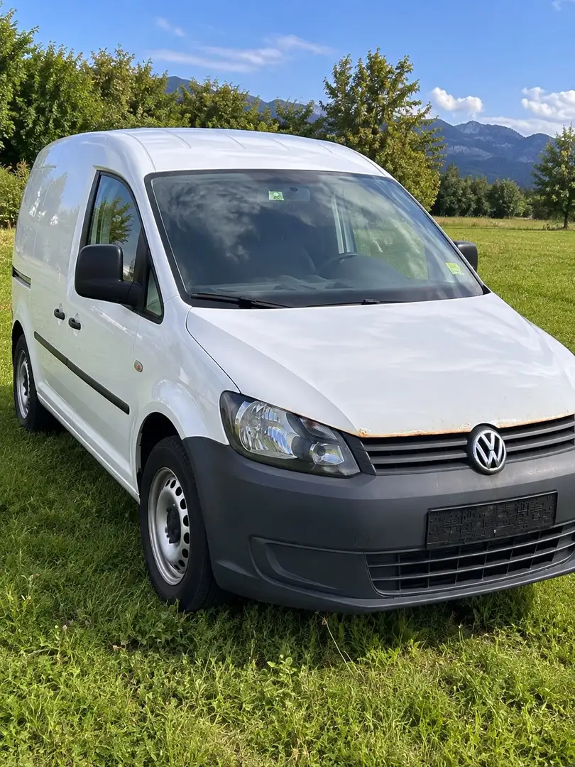 Volkswagen Caddy Caddy Kombi Cross 2,0 TDI DPF 4MOTION Cross Weiß - 2