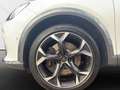 CUPRA Formentor 2.0 VZ 4Drive *Navi*LED*Winterpaket* Weiß - thumbnail 11