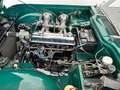Triumph TR4 CONDIZIONI ECCELLENTI - ASI Grün - thumbnail 12