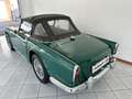 Triumph TR4 CONDIZIONI ECCELLENTI - ASI Grün - thumbnail 6