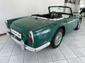 Triumph TR4 CONDIZIONI ECCELLENTI - ASI Grün - thumbnail 16