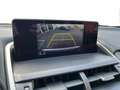 Lexus NX 300h 2.5i AWD Business Line+ E-CVT (EU6.2) Grijs - thumbnail 14