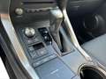 Lexus NX 300h 2.5i AWD Business Line+ E-CVT (EU6.2) Gris - thumbnail 16