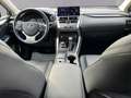 Lexus NX 300h 2.5i AWD Business Line+ E-CVT (EU6.2) Szürke - thumbnail 7