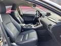 Lexus NX 300h 2.5i AWD Business Line+ E-CVT (EU6.2) siva - thumbnail 9