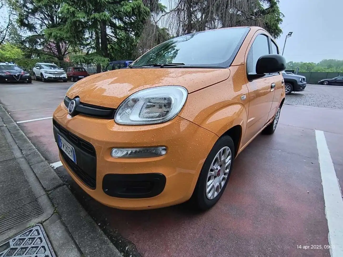 Fiat Panda NEOPATENTATI Panda 1.2 Easy S TG : FW585EM Oro - 2