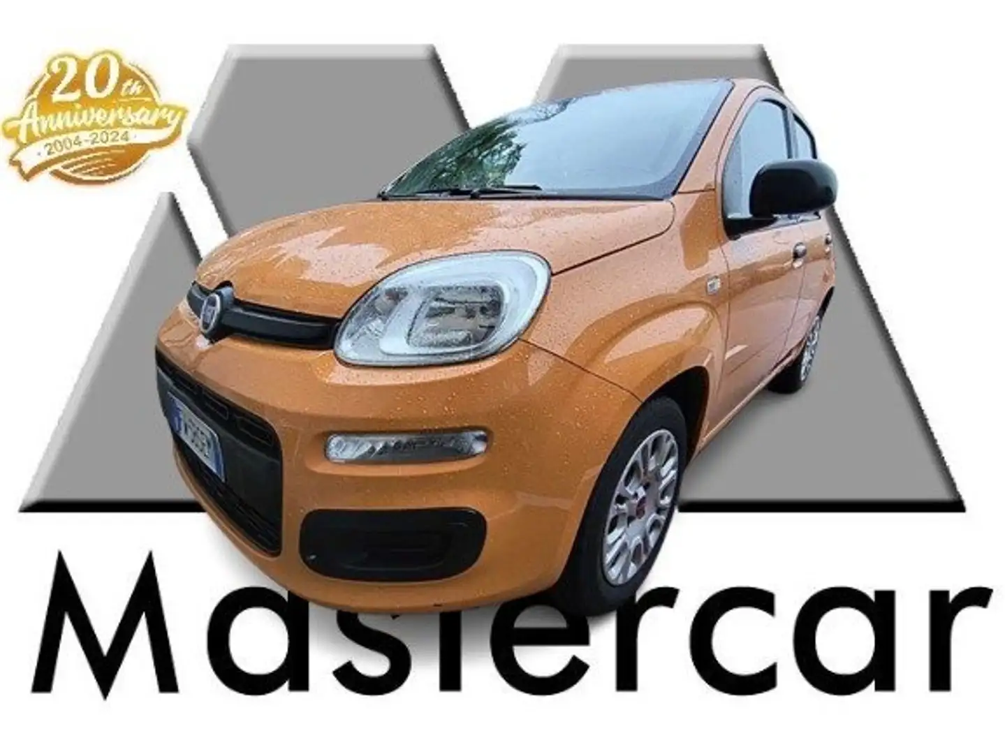 Fiat Panda NEOPATENTATI Panda 1.2 Easy S TG : FW585EM Oro - 1