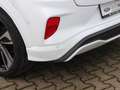 Ford Puma Hybrid ST-Line X Start/Stopp Bianco - thumbnail 8