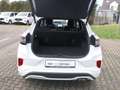 Ford Puma Hybrid ST-Line X Start/Stopp Blanc - thumbnail 18