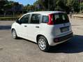 Fiat Panda Panda III 2012 1.3 mjt 16v Easy s Bianco - thumbnail 4