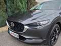 Mazda CX-30 Basis ** 1. Besitz * Rückfahrkamera * Navi ** Grau - thumbnail 19