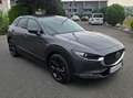 Mazda CX-30 Basis ** 1. Besitz * Rückfahrkamera * Navi ** Grau - thumbnail 5