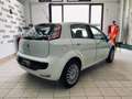 Fiat Punto Evo Punto Evo 1.2 5 porte S&S Dynamic Bianco - thumbnail 5