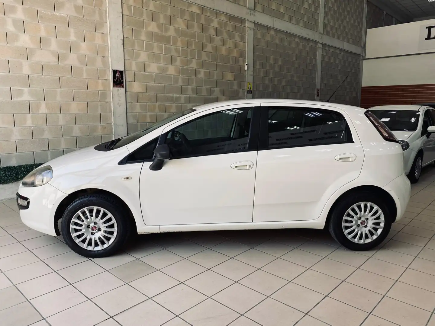 Fiat Punto Evo Punto Evo 1.2 5 porte S&S Dynamic Bianco - 2