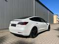 Tesla Model 3 Model 3 Langstreckenbatt. Allradantrieb Dual Motor Performance Blanco - thumbnail 8