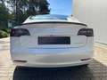 Tesla Model 3 Model 3 Langstreckenbatt. Allradantrieb Dual Motor Performance Blanco - thumbnail 4