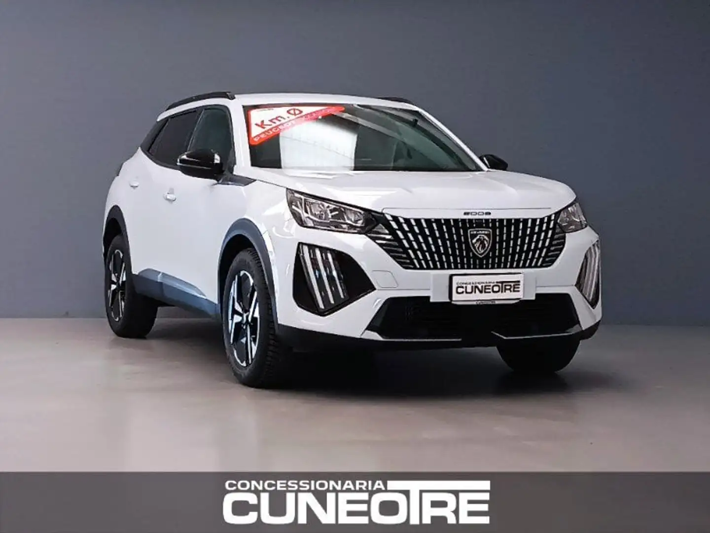 Peugeot 2008 2008 PureTech 100 S&S Allure Bianco - 1