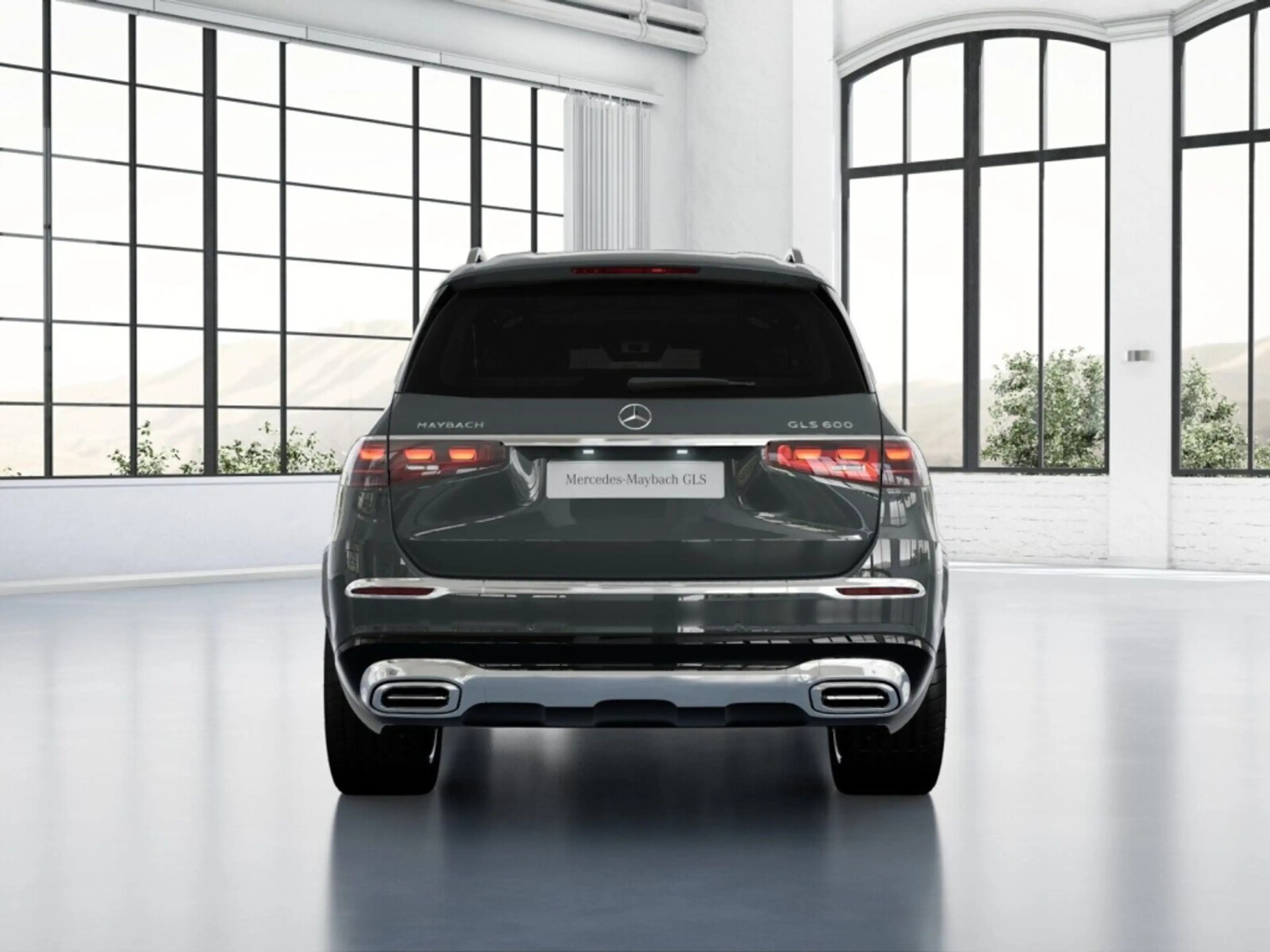 Mercedes-Benz GLS 600 Mercedes-Maybach  Burm+Pano+Distr+MLB+360 — photo 6