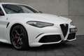 Alfa Romeo Giulia 2.9 V6 Quadrifoglio Weiß - thumbnail 9