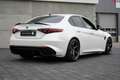 Alfa Romeo Giulia 2.9 V6 Quadrifoglio Weiß - thumbnail 34