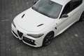 Alfa Romeo Giulia 2.9 V6 Quadrifoglio Weiß - thumbnail 1