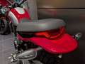 Ducati Scrambler SCRAMBLER ICON RED Rosso - thumbnail 6