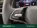 Skoda Kamiq 1.0 tsi selection 95cv Gri - thumbnail 16