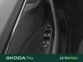 Skoda Kamiq 1.0 tsi selection 95cv Gri - thumbnail 19