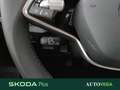 Skoda Kamiq 1.0 tsi selection 95cv Gri - thumbnail 17