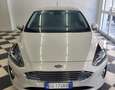 Ford Fiesta Fiesta 1.0 Ecoboost Hybrid 125 CV 5 porte Titanium Beige - thumbnail 3