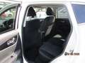 Nissan Qashqai 1.2 DIG-T 360 Weiß - thumbnail 10