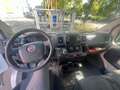 Fiat Ducato Grossr.-Kasten 35 130 L4H2 MOTORSCHADEN Bianco - thumbnail 7